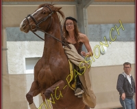 1AMAZONE- 0246